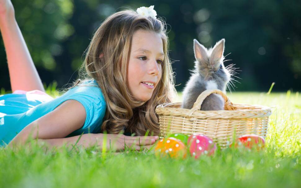 Декоративный кролик для ребенка. Вы решили купить ребенку декоративного кролика?