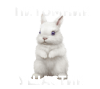 Питомник Ушастик. Карликовые и декоративные кролики.